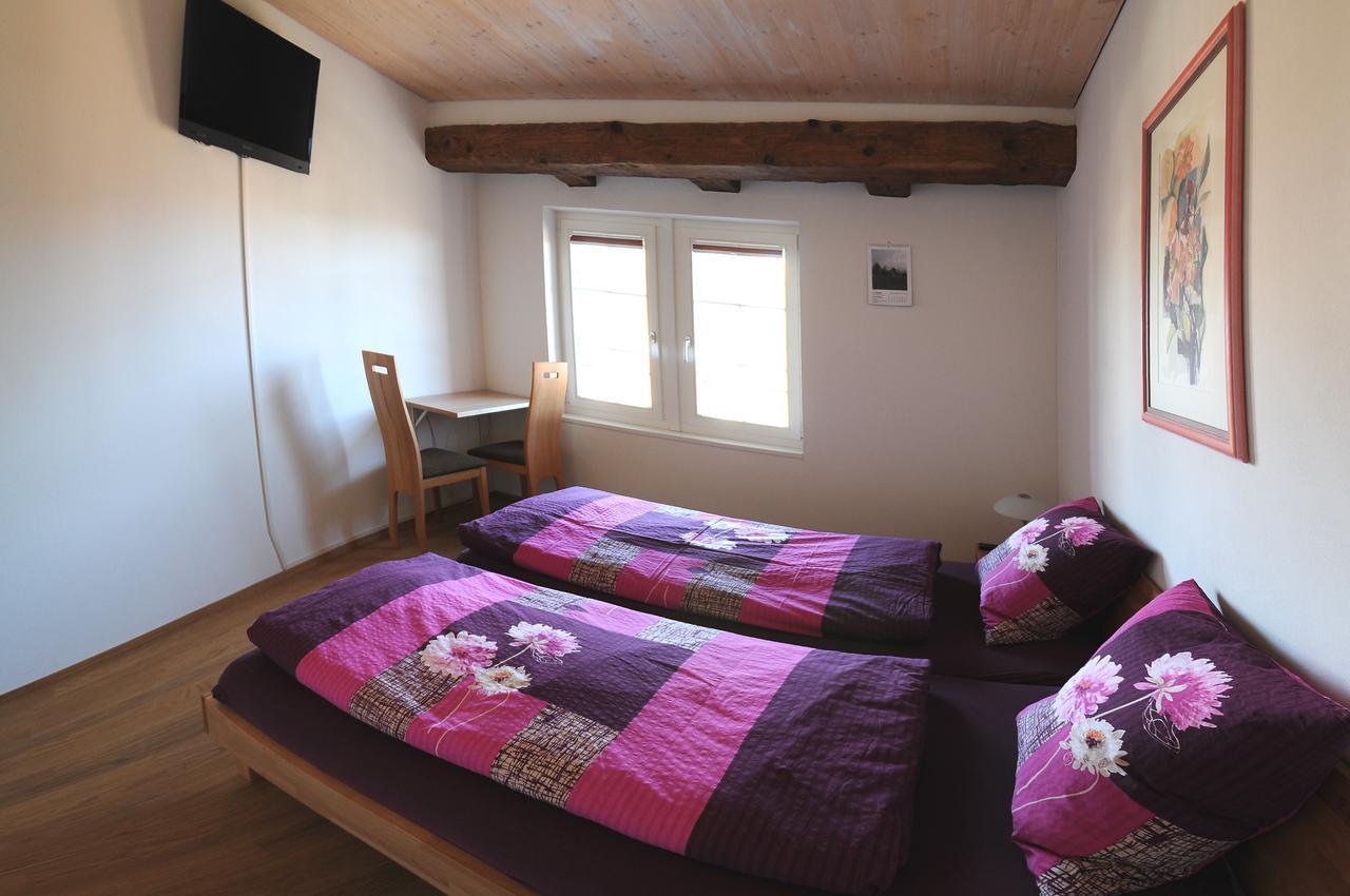 Andelfingen Bed And Breakfast Wegmann מראה חיצוני תמונה