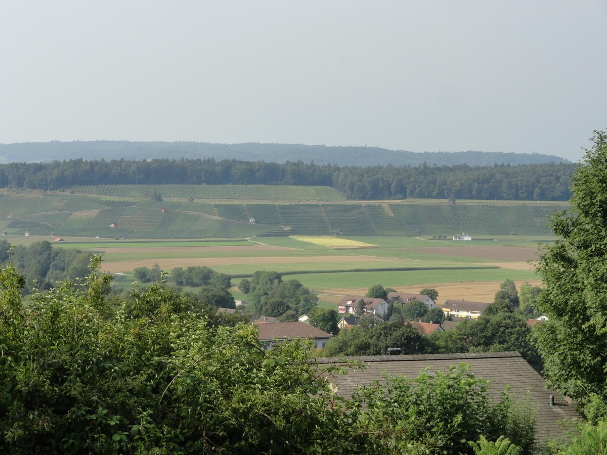 Andelfingen Bed And Breakfast Wegmann מראה חיצוני תמונה